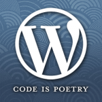 WordPress Widget